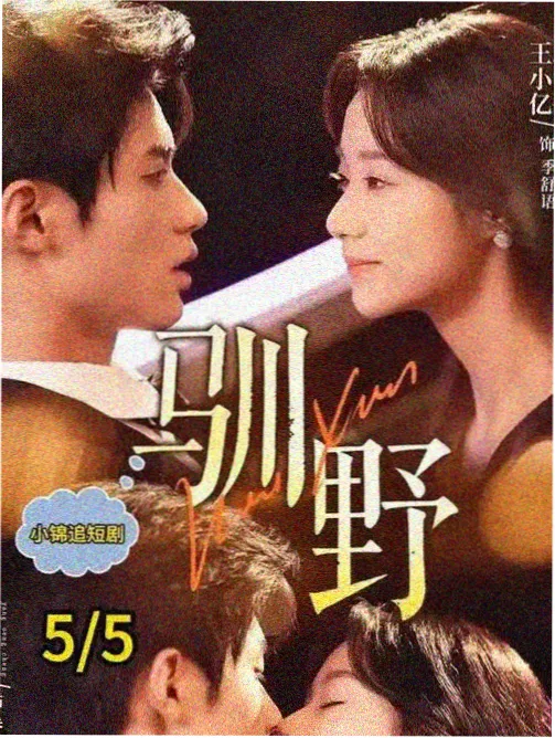红杏影视剧集第七个证人海报
